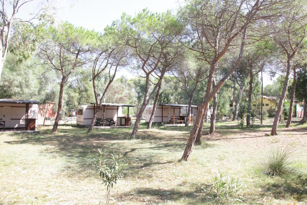 Camping Golfo Dell'Asinara Платамона Номер фото