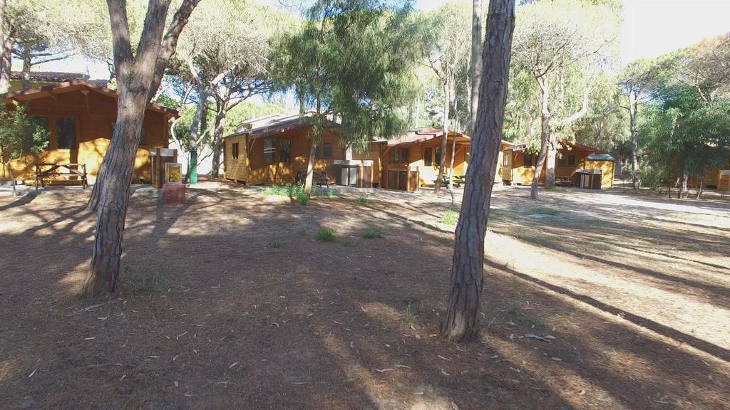 Camping Golfo Dell'Asinara Платамона Екстер'єр фото